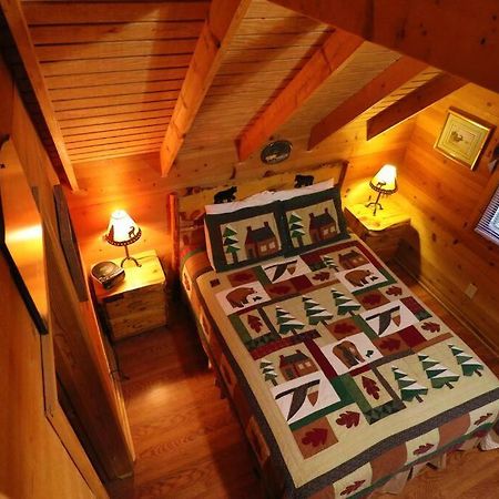 Cute Updated Mountain Cabin Fireplace #3 Helen Buitenkant foto