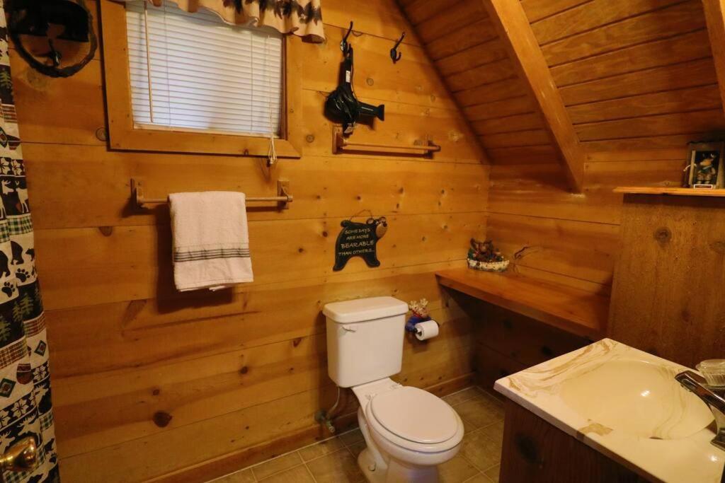 Cute Updated Mountain Cabin Fireplace #3 Helen Buitenkant foto