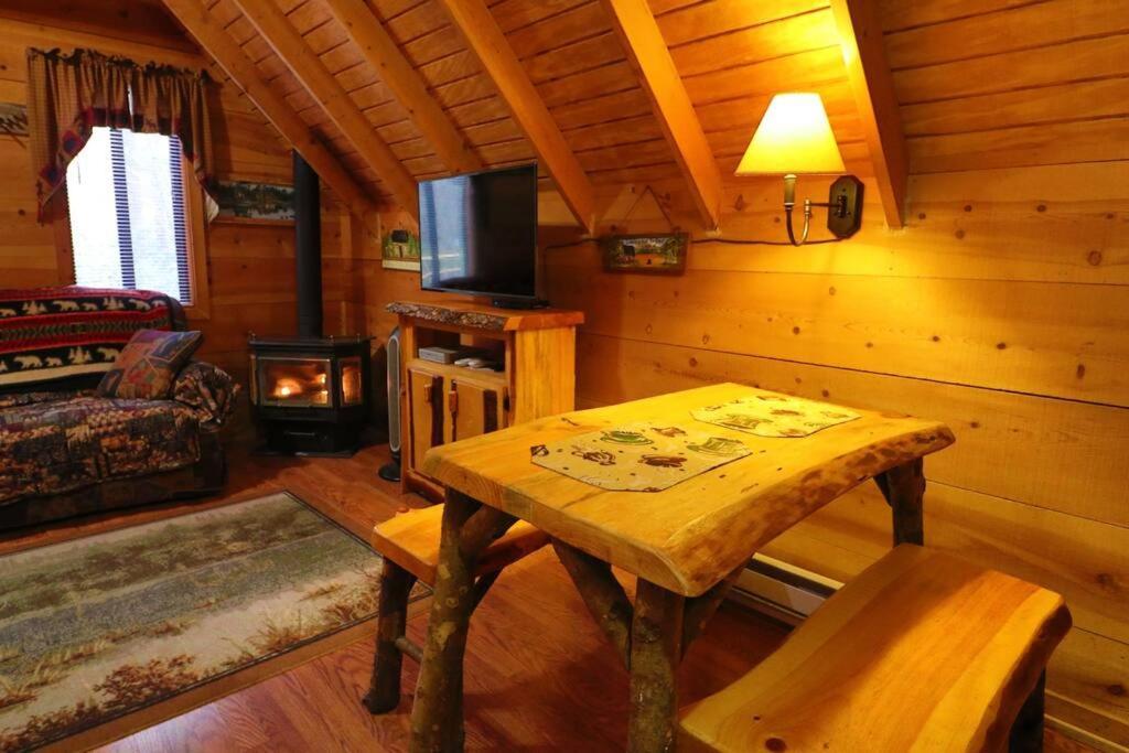 Cute Updated Mountain Cabin Fireplace #3 Helen Buitenkant foto