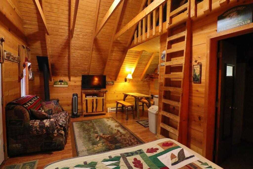 Cute Updated Mountain Cabin Fireplace #3 Helen Buitenkant foto
