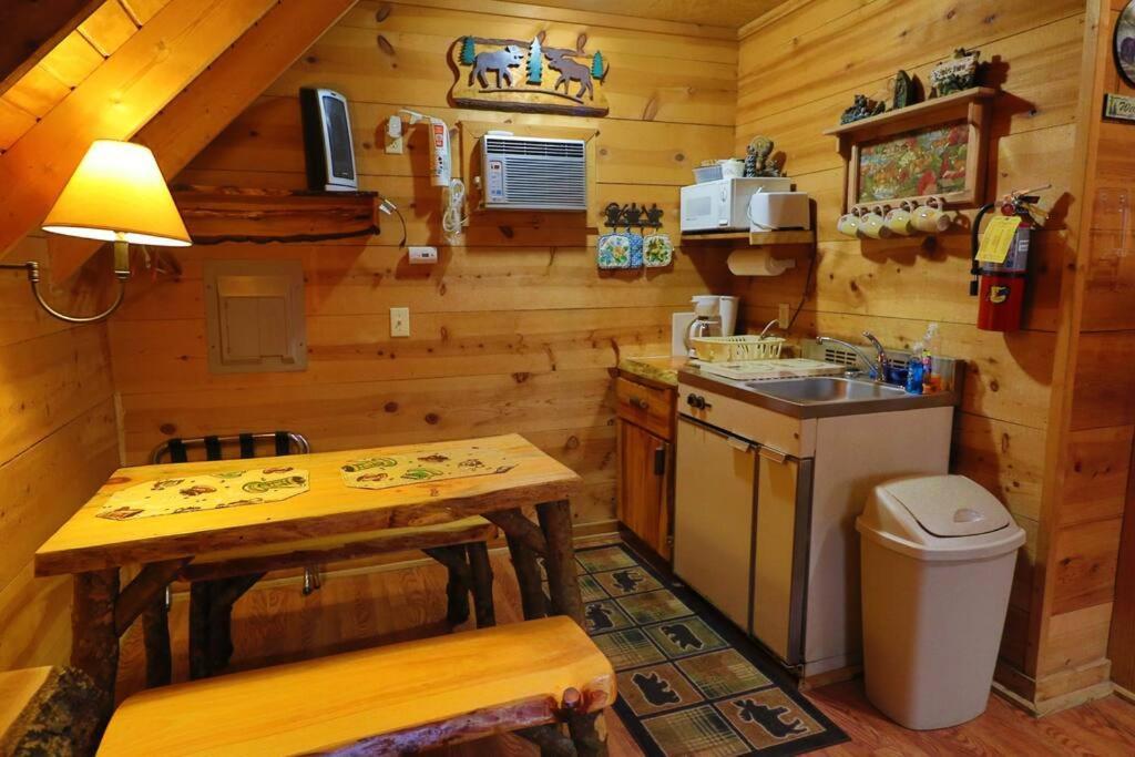 Cute Updated Mountain Cabin Fireplace #3 Helen Buitenkant foto